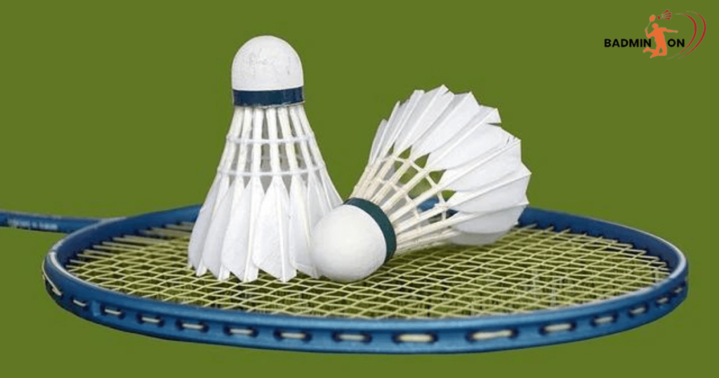 Racket badminton image showing a light racket and shuttlecock against a plain background.